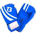 Booster Boxhandschuhe Pro Range V2 Gloves